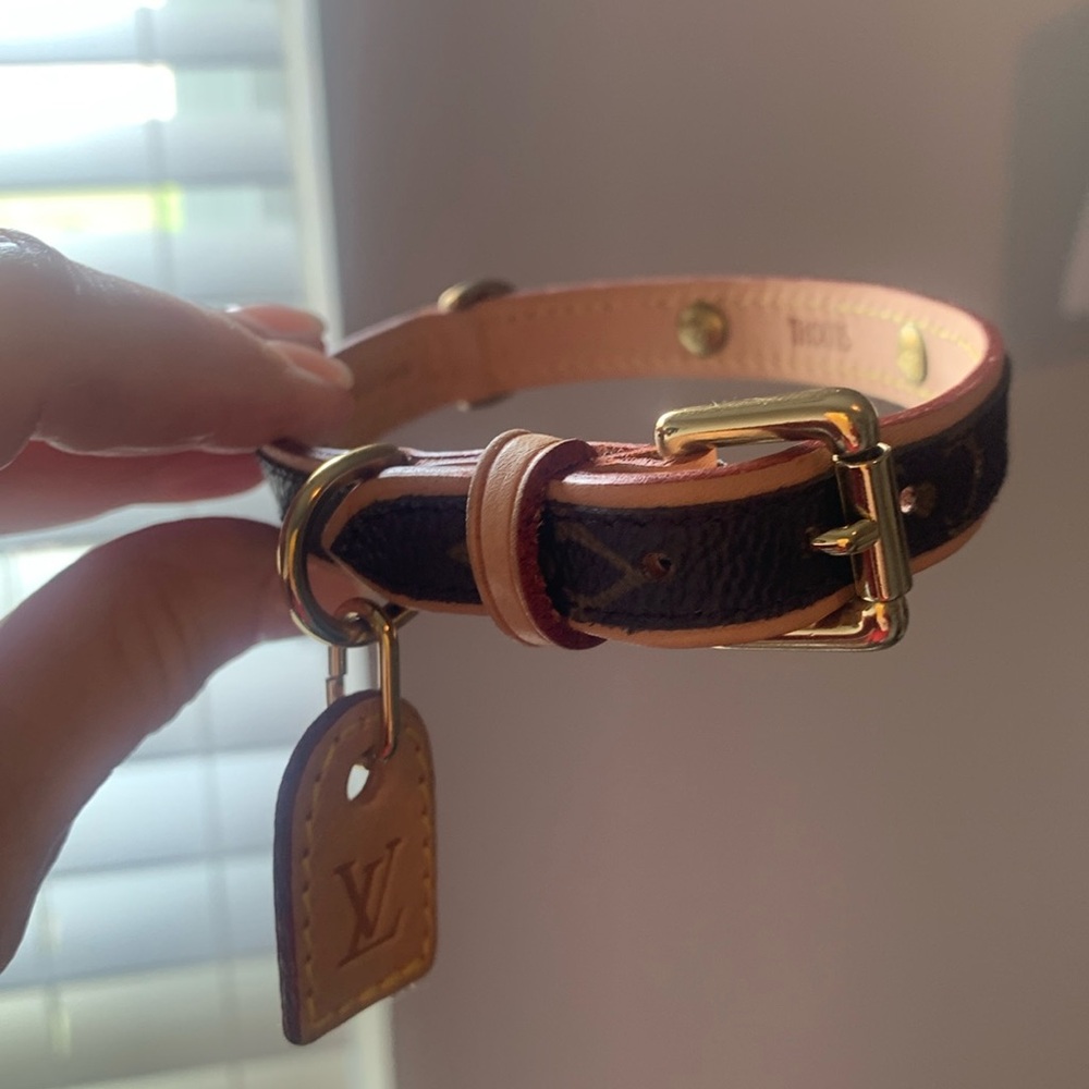 Louis Vuitton small dog collar NWOT